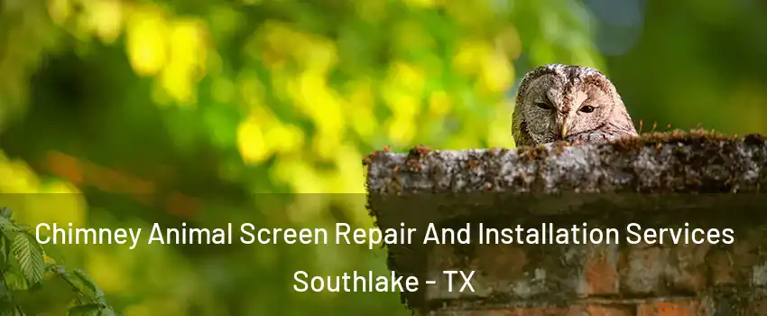 Chimney Animal Screen Repair And Installation Services Southlake - TX