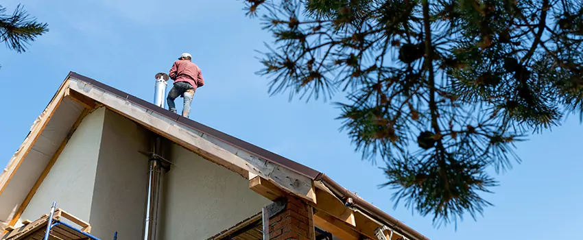 Birds Removal Contractors from Chimney in Southlake, TX