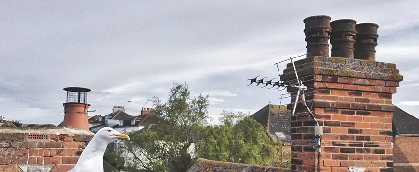 Chimney Cleaning And Restoration in Southlake, Texas